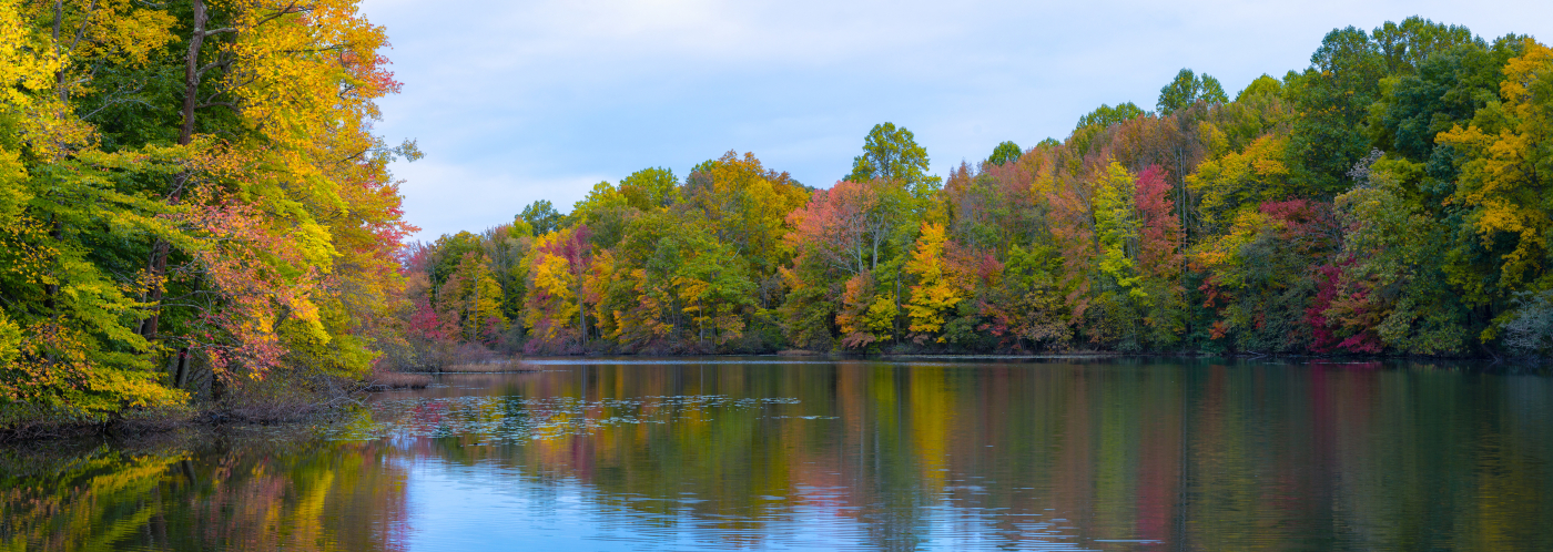 Pond with green and red trees on all shores